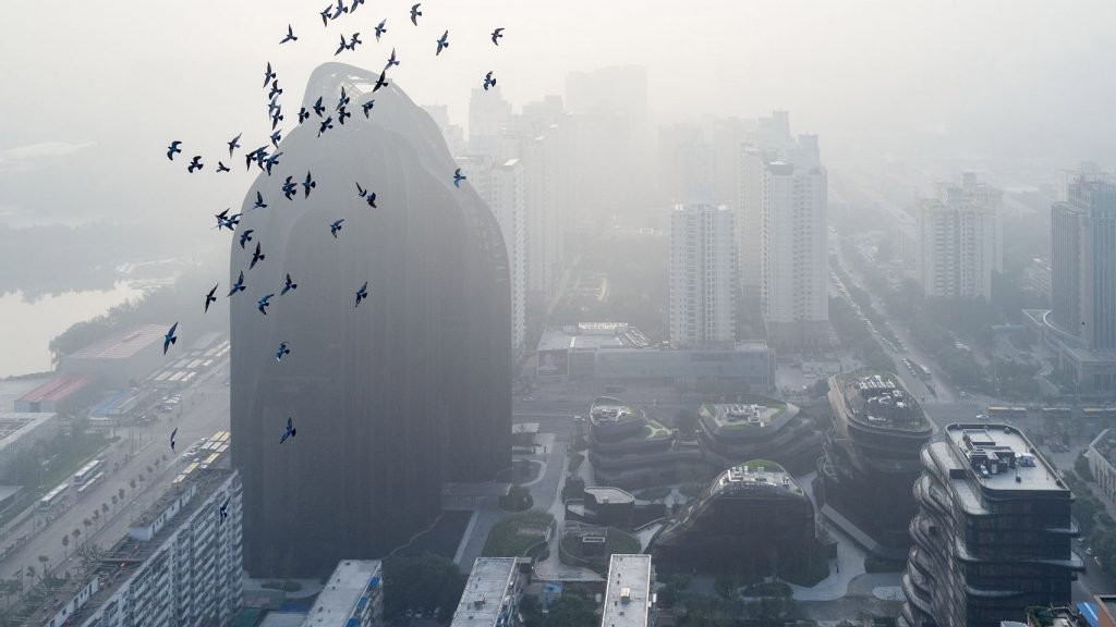 junior graphic designer at mad architects in beijing china