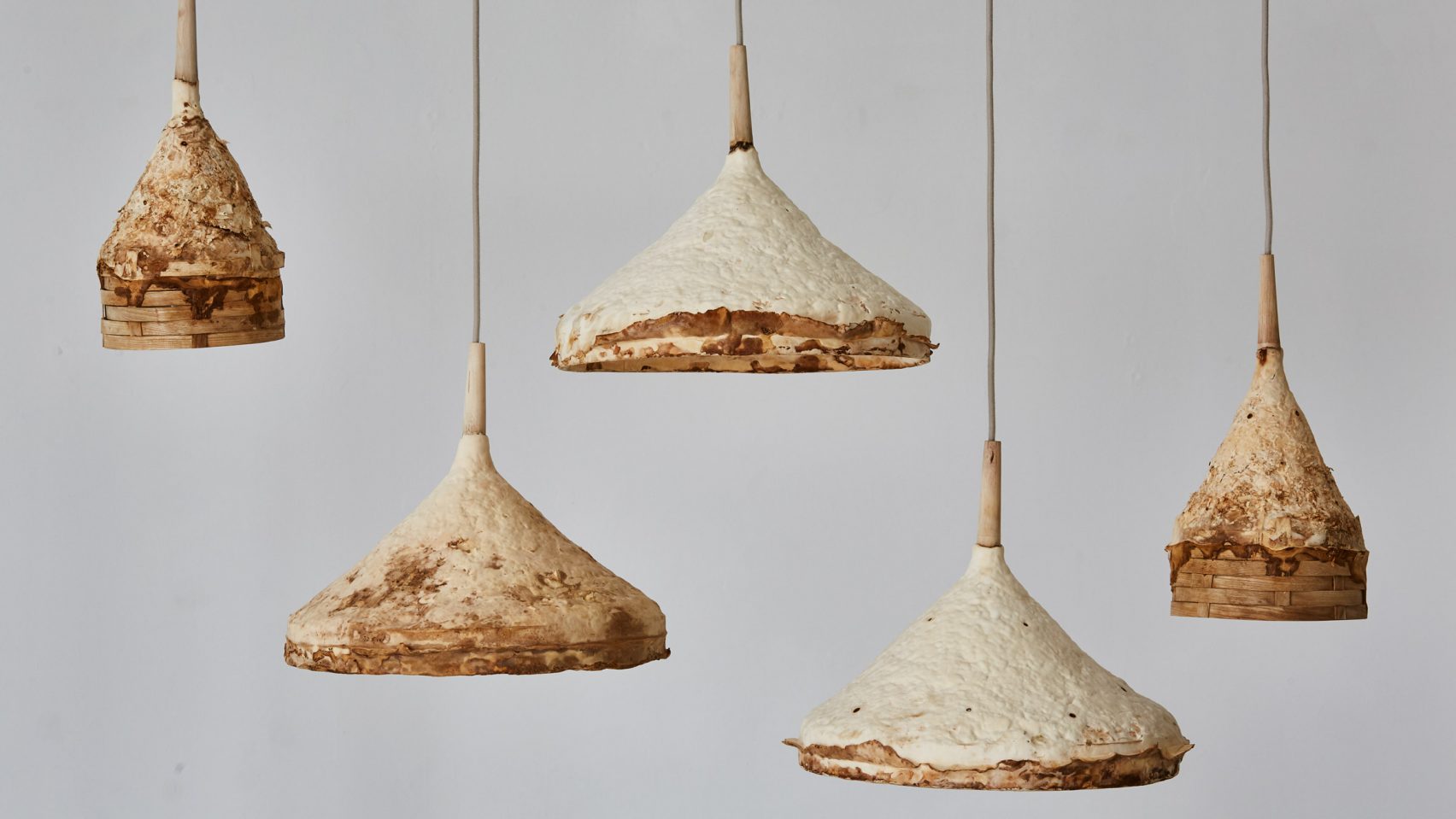 Sebastian Cox mushroom mycelium lights