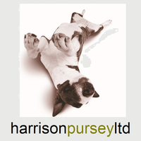 Harrison Pursey