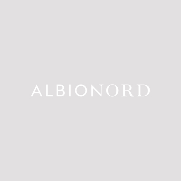 Albion Nord logo