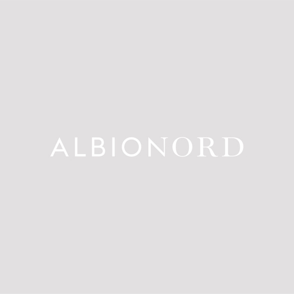 Albion Nord logo