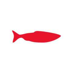 Senior exhibition designer/senior interior architect  at Atelier Brückner