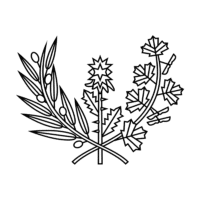 Perron Studios