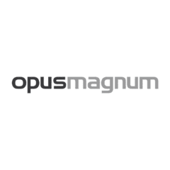 Sales director/sales lead  at Opus Magnum