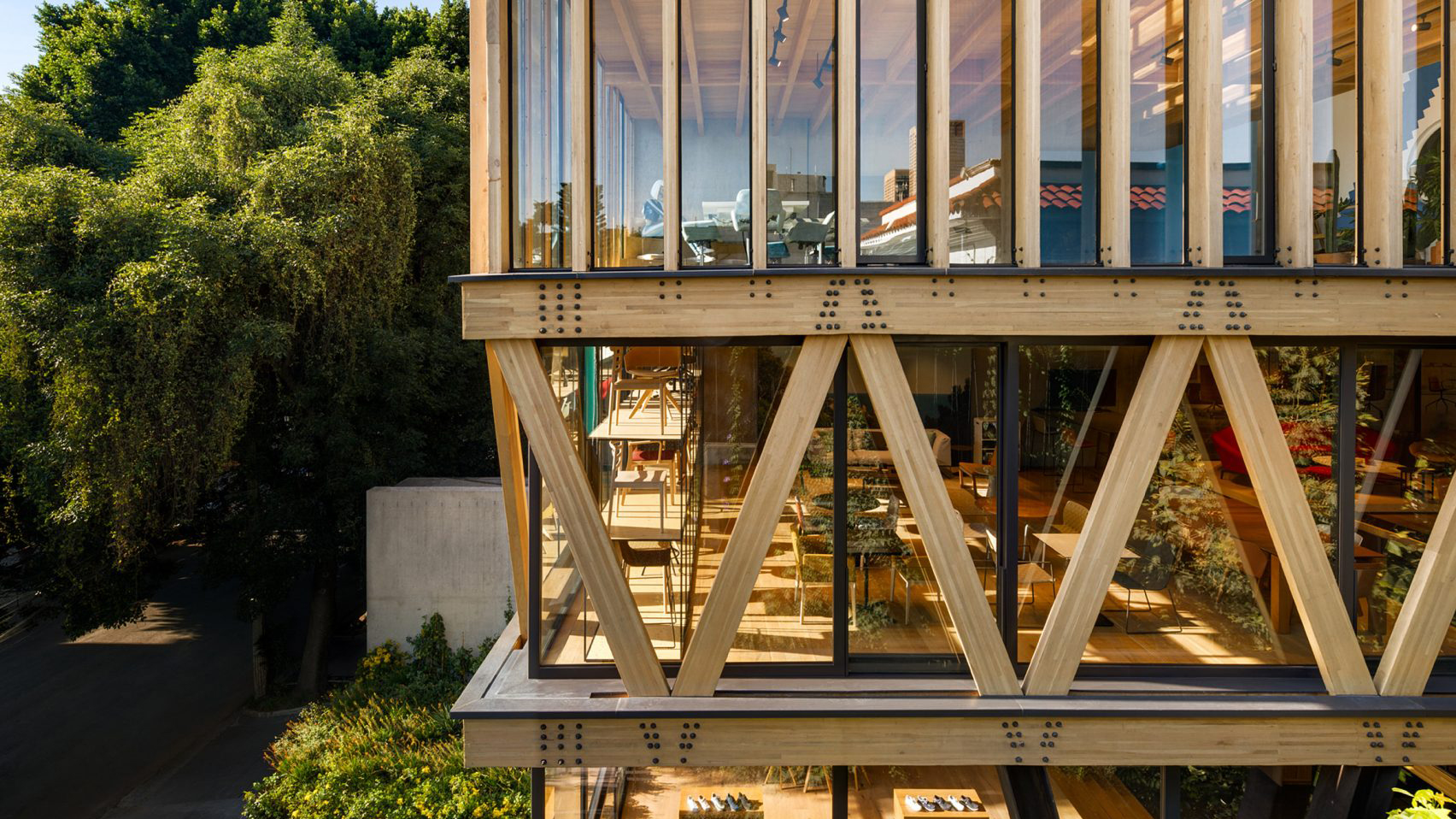 Timber Creative Design Communications coordinator at Dellekamp in Mexico City, Mexico
