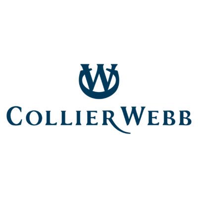 Mid-weight designer/project manager