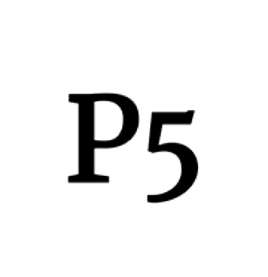 Platform 5 Architects