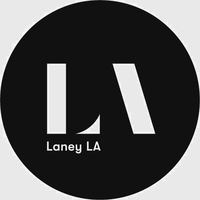 Laney LA